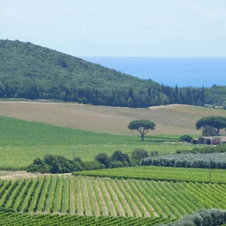 Casa Cabernet Appartamento Castagneto Carducci