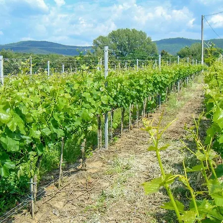 Casa Cabernet